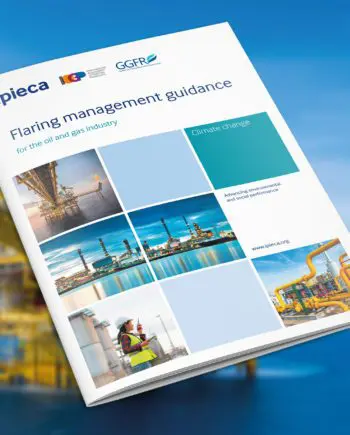 Flaring Management Guidance