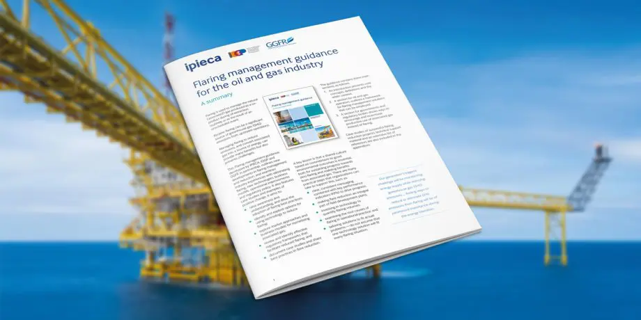 Flaring guidance summary_English_promo