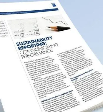 Rio+20 Factsheets: Sustainability reporting