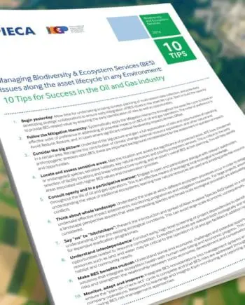 Managing Biodiversity & Ecosystem Services (BES) issues along the asset lifecycle in any environment: 10 Tips for Success in the Oil and Gas Industry
