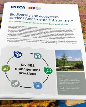 Biodiversity and ecosystem services fundamentals: A summary