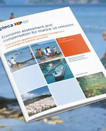 Economic assessment and compensation for marine oil releases