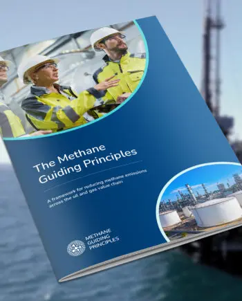 MGP Best Practice Guide: Flaring – English