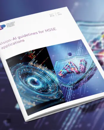Vision-AI guidelines for HSSE applications