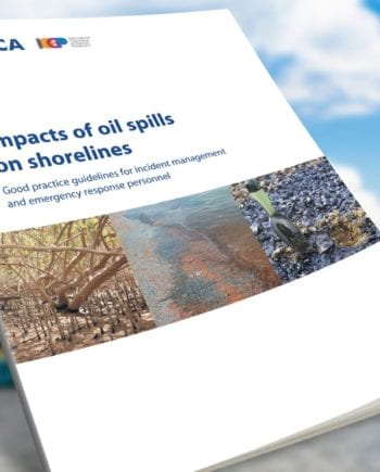 Impacts of oil spills on shorelines-banner