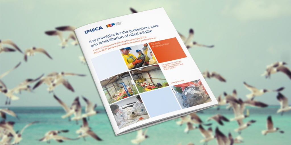 Key principles for the protection, care and rehabilitation of oiled wildlife