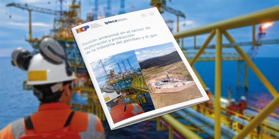 Gestión ambiental en el sector de exploración y producción de la industria del petróleo y el gas/Environmental management in the upstream oil and gas industry (Spanish)