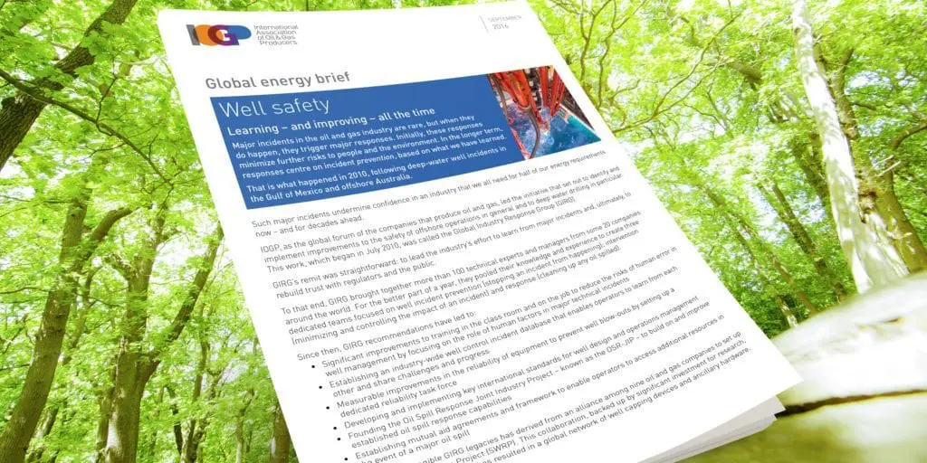 Major incidents in the oil and gas industry are rare, but when they do happen, they trigger major responses. Initially, these responses minimize further risks to people and the environment.