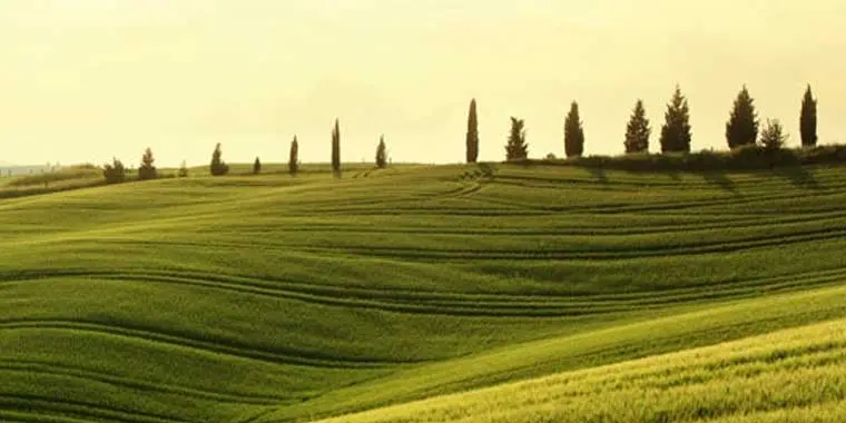 (London, 21 January 2020) This is, in essence, the message of an excellent report published yesterday by the International Energy Agency (IEA). While hardly a day goes by without someone raising their voice to blame the oil & gas industry for obstructing efforts to tackle climate change by continuing to invest in fossil fuels, the IEA isn’t afraid to involve, rather than exclude, the oil & gas industry from the solution to climate change.