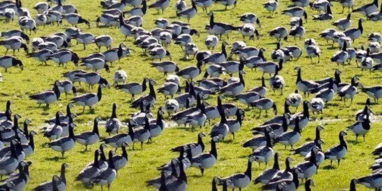 Environment Committee charts next five years