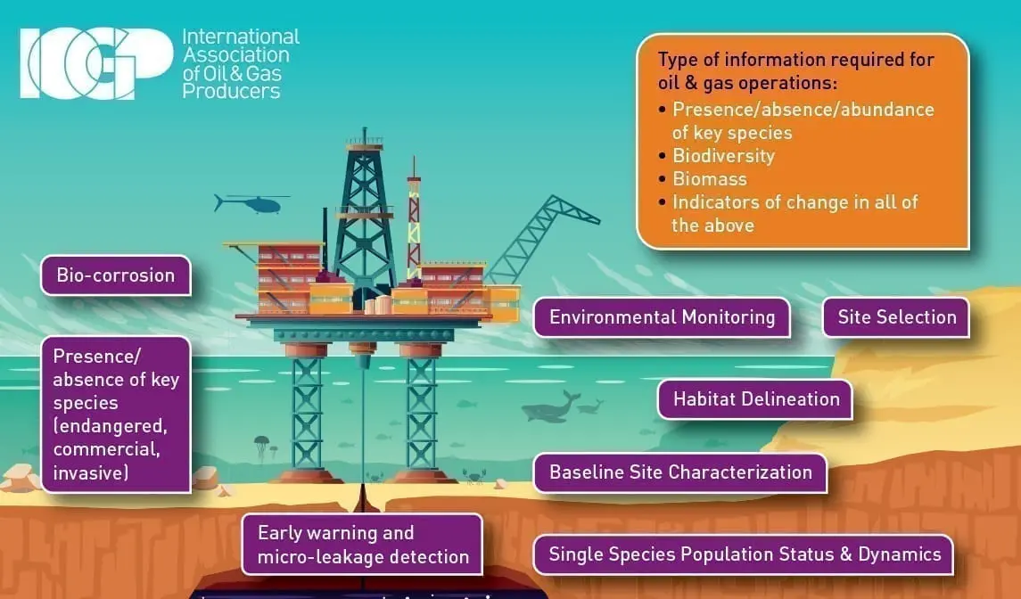 Members of IOGP’s Environmental Genomics Joint Industry Programme have co-authored a paper that features in the APPEA Journal.