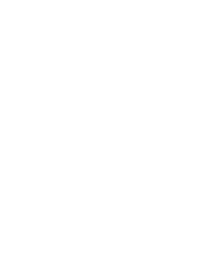 Single set of industry standards Single set of industry standards