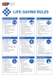 Life-SavingRules_A1Poster_Page_1