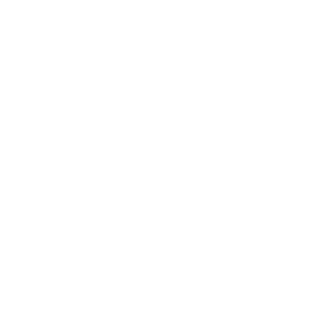 Advocacy icon-lineart
