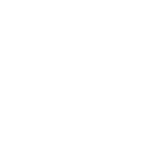 Standardisation icon-lineart